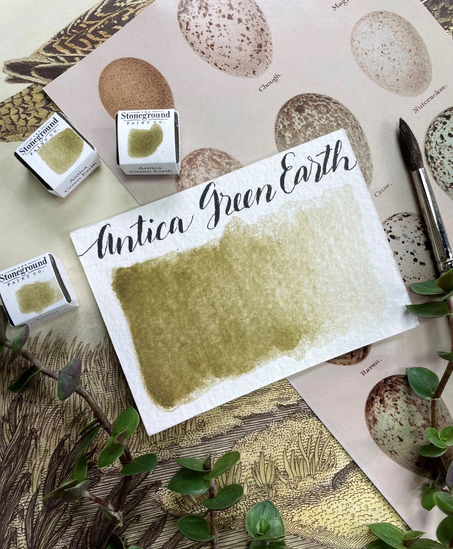 Antica Green Earth