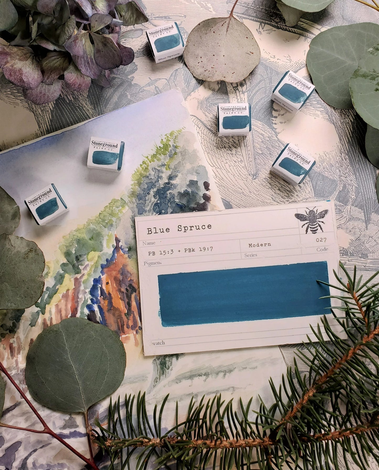 Blue Spruce ~ Gouache