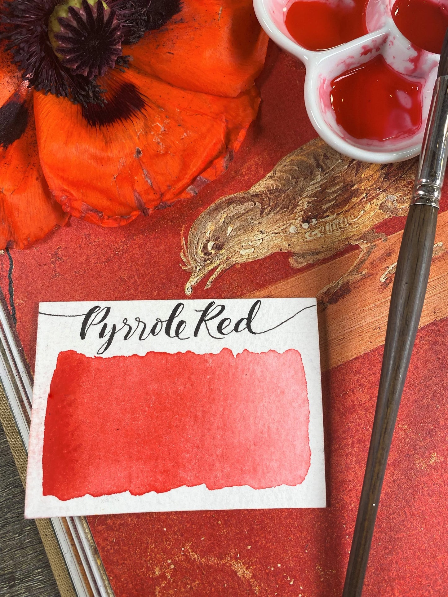 Pyrrole Red