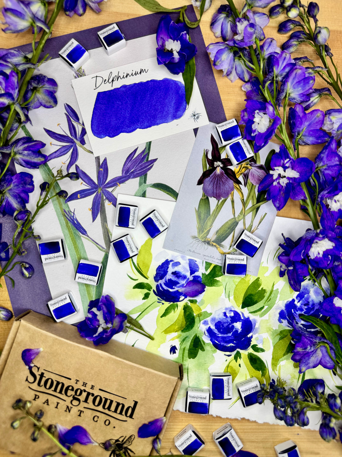 Delphinium