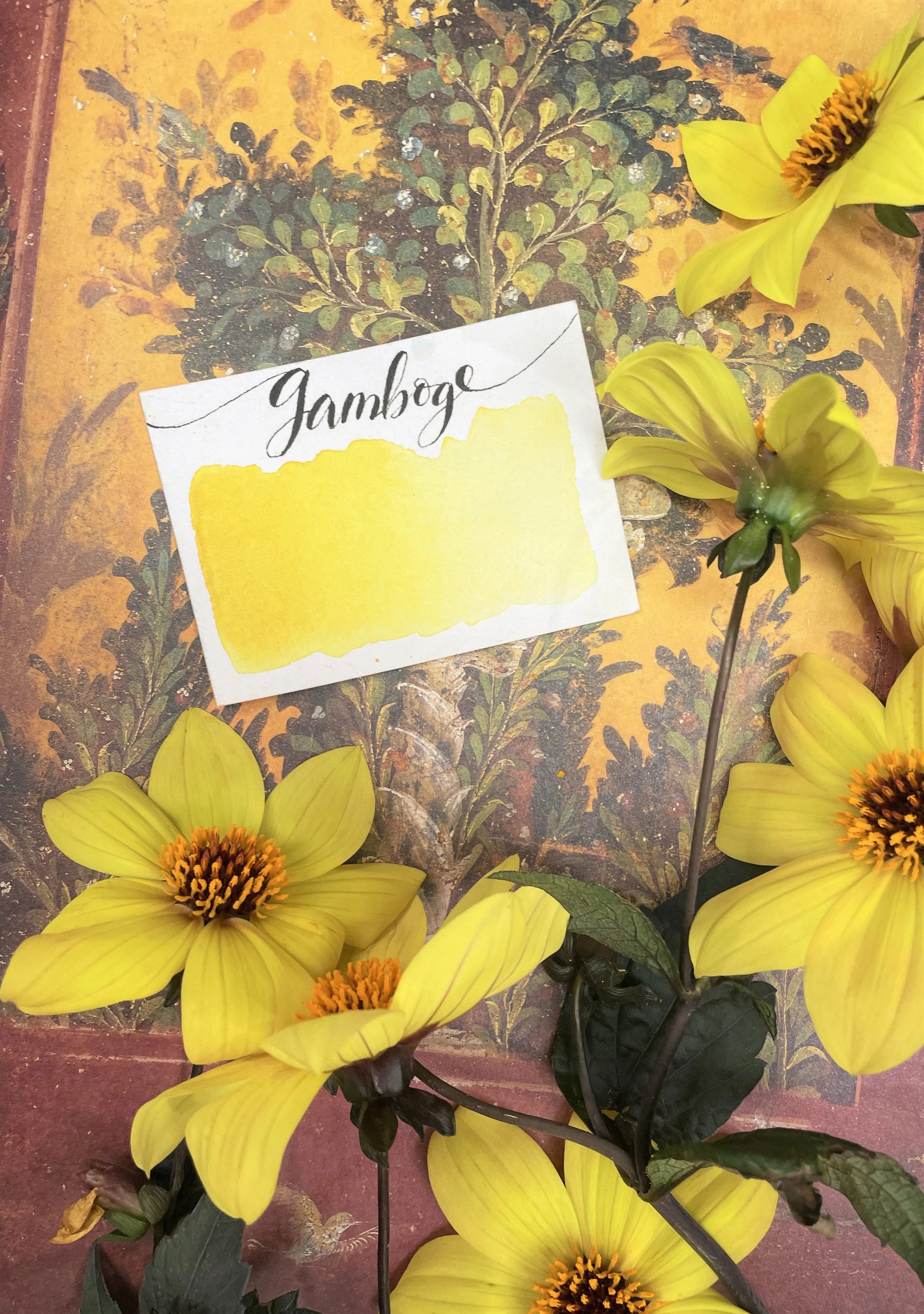 Gamboge – Stoneground Paint Company