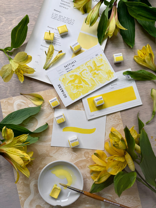 Daffodil ~ Gouache