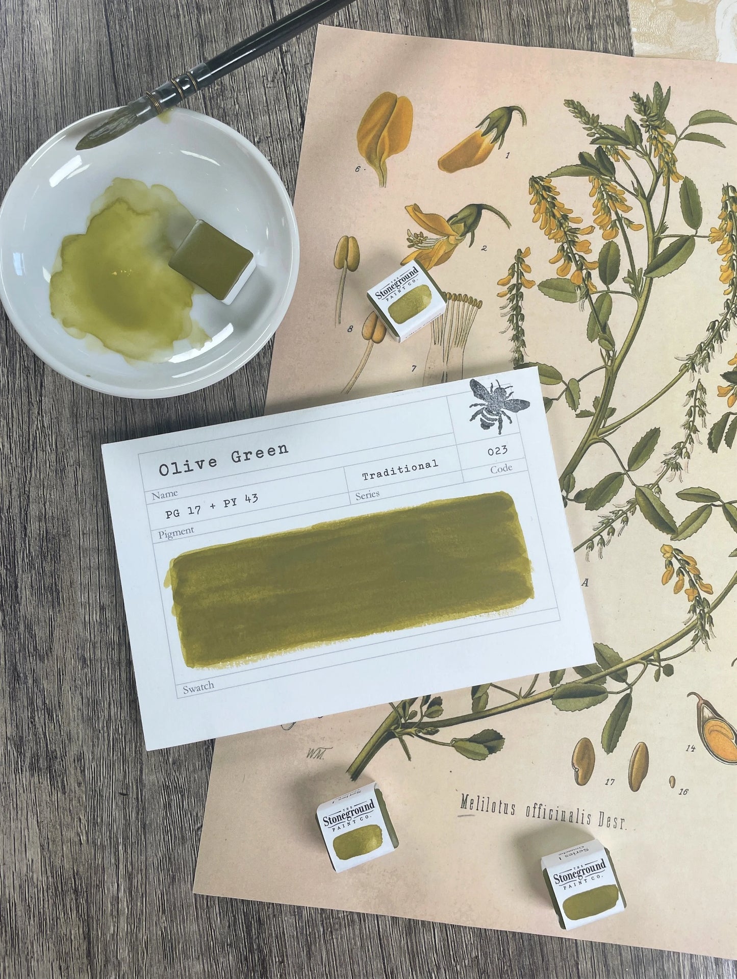 Olive Green ~ Gouache